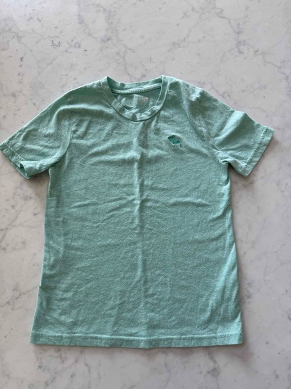 Abercrombie Kids Boys Mint Green Moose Logo Tee Size 7/8 Classic Fit